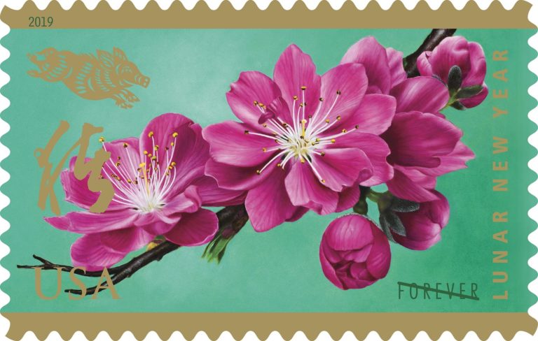 usps-celebrates-lunar-new-year-with-year-of-the-boar-forever-stamp